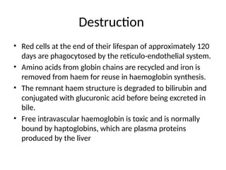 Destruction
• Red cells at the end of their lifespan of approximately 120
days are phagocytosed by the reticulo-endothelial system.
• Amino acids from globin chains are recycled and iron is
removed from haem for reuse in haemoglobin synthesis.
• The remnant haem structure is degraded to bilirubin and
conjugated with glucuronic acid before being excreted in
bile.
• Free intravascular haemoglobin is toxic and is normally
bound by haptoglobins, which are plasma proteins
produced by the liver
 