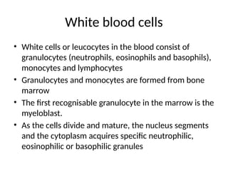 White blood cells
• White cells or leucocytes in the blood consist of
granulocytes (neutrophils, eosinophils and basophils),
monocytes and lymphocytes
• Granulocytes and monocytes are formed from bone
marrow
• The first recognisable granulocyte in the marrow is the
myeloblast.
• As the cells divide and mature, the nucleus segments
and the cytoplasm acquires specific neutrophilic,
eosinophilic or basophilic granules
 