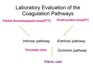 Laboratory Evaluation of the
          Coagulation Pathways
Partial thromboplastin time(PTT)   Prothrombin time(PT)




             Intrinsic pathway     Extrinsic pathway

              Thrombin time        Common pathway


                           Fibrin clot
 