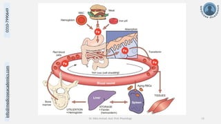 info@medicoseacademics.com
0310-7990649
Dr. Sidra Arshad, Asst. Prof. Physiology 13
 