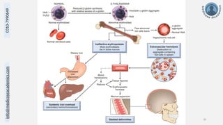 info@medicoseacademics.com
0310-7990649
Dr. Sidra Arshad, Asst. Prof. Physiology 18
 