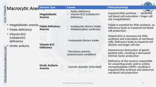 info@medicoseacademics.com
0310-7990649
Dr. Sidra Arshad, Asst. Prof. Physiology 21
Macrocytic Anemia
• Megaloblastic anemia
• Folate deficiency
• Vitamin B12
(cobalamin)
deficiency
• Orotic aciduria
Anemia Type Causes Pathophysiology
Megaloblastic
Anemia
- Folate deficiency
- Vitamin B12 (cobalamin)
deficiency
Impaired DNA synthesis  abnormal
red blood cell maturation + larger cell
size (megaloblasts)
Folate Deficiency
Anemia
- Inadequate dietary intake
- Malabsorption syndrome
Folate is essential for DNA synthesis, so
deficiency leads to impaired red blood
cell production.
Vitamin B12
Deficiency
- Inadequate dietary intake
Vitamin B12 is necessary for DNA
synthesis and maturation of red blood
cells. Deficiency leads to impaired cell
division and larger cell size.
- Pernicious anemia
(autoimmune condition)
Autoimmune destruction of gastric
parietal cells, resulting in decreased
intrinsic factor production
Orotic Aciduria
Anemia
- Genetic disorder (inherited)
Deficiency of the enzyme responsible
for converting orotic acid to uridine
monophosphate (UMP), resulting in
impaired DNA synthesis and abnormal
red blood cell production
 