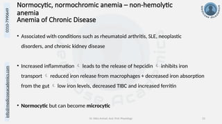 info@medicoseacademics.com
0310-7990649
Dr. Sidra Arshad, Asst. Prof. Physiology 23
Anemia of Chronic Disease
• Associated with conditions such as rheumatoid arthritis, SLE, neoplastic
disorders, and chronic kidney disease
• Increased inflammation  leads to the release of hepcidin  inhibits iron
transport  reduced iron release from macrophages + decreased iron absorption
from the gut  low iron levels, decreased TIBC and increased ferritin
• Normocytic but can become microcytic
Normocytic, normochromic anemia – non-hemolytic
anemia
 