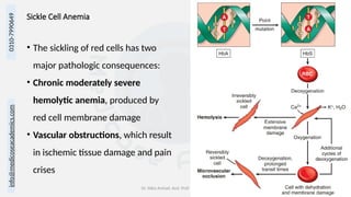 info@medicoseacademics.com
0310-7990649
Dr. Sidra Arshad, Asst. Prof. Physiology 26
Sickle Cell Anemia
• The sickling of red cells has two
major pathologic consequences:
• Chronic moderately severe
hemolytic anemia, produced by
red cell membrane damage
• Vascular obstructions, which result
in ischemic tissue damage and pain
crises
 