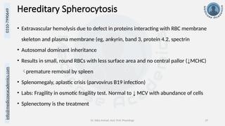 info@medicoseacademics.com
0310-7990649
Dr. Sidra Arshad, Asst. Prof. Physiology 29
Hereditary Spherocytosis
• Extravascular hemolysis due to defect in proteins interacting with RBC membrane
skeleton and plasma membrane (eg, ankyrin, band 3, protein 4.2, spectrin
• Autosomal dominant inheritance
• Results in small, round RBCs with less surface area and no central pallor (↓MCHC)
premature removal by spleen
• Splenomegaly, aplastic crisis (parvovirus B19 infection)
• Labs: Fragility in osmotic fragility test. Normal to ↓ MCV with abundance of cells
• Splenectomy is the treatment
 