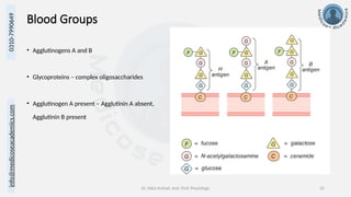 info@medicoseacademics.com
0310-7990649
Dr. Sidra Arshad, Asst. Prof. Physiology 32
Blood Groups
• Agglutinogens A and B
• Glycoproteins – complex oligosaccharides
• Agglutinogen A present – Agglutinin A absent,
Agglutinin B present
 