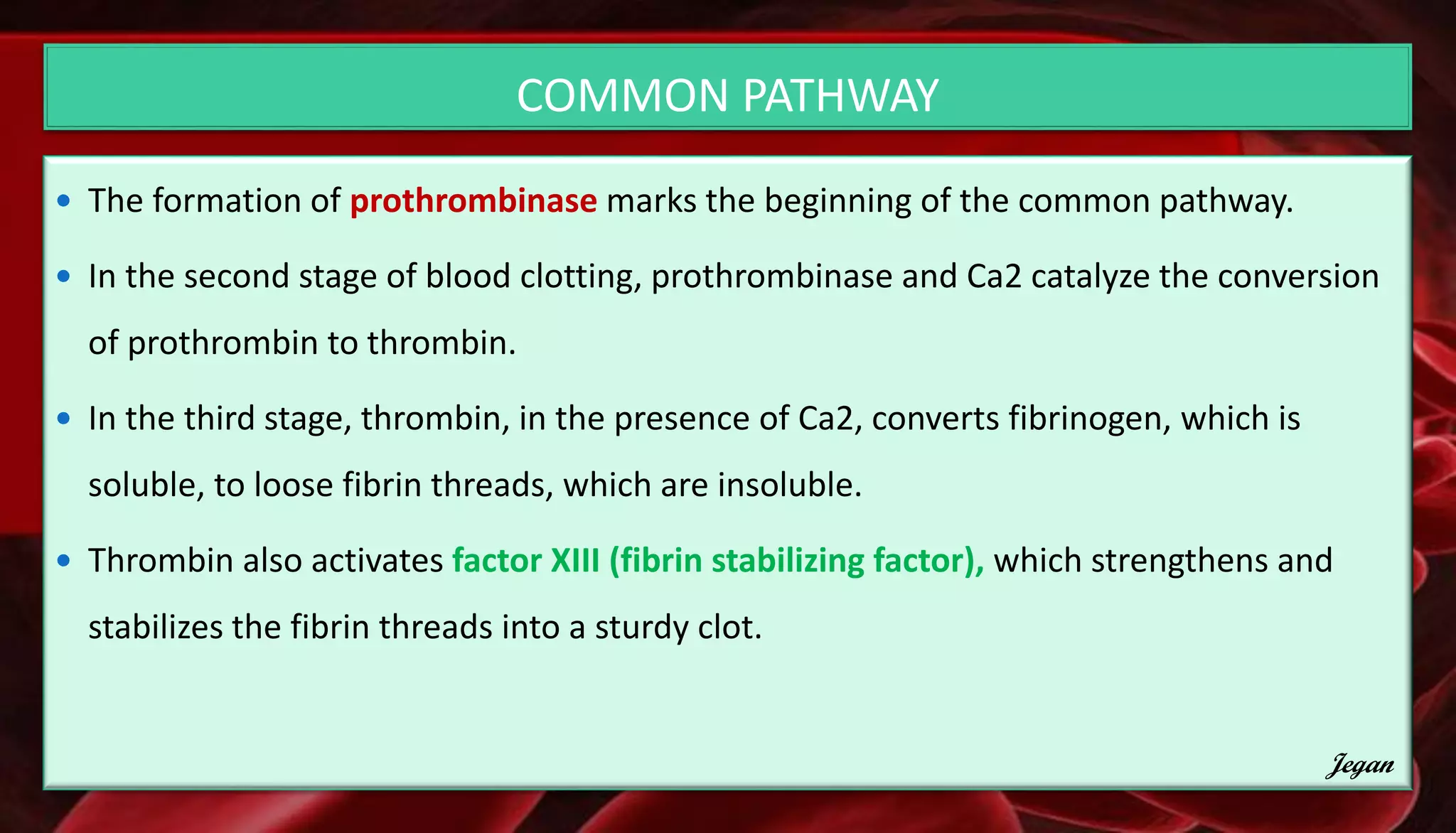 Hematology PART-II | PDF
