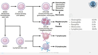 info@medicoseacademics.com
0310-7990649
Dr. Sidra Arshad, Asst. Prof. Physiology 16
 