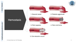 info@medicoseacademics.com
0310-7990649
Hemostasis
Dr. Sidra Arshad, Asst. Prof. Physiology 4
 