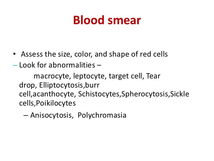 Introduction to Hematology and Anemia