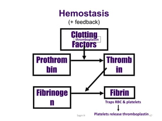 Iron Rbc Feedback Hematology-pharmacology.pptx