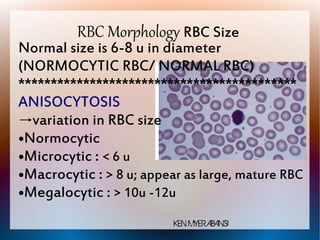 Hematology signed | PDF