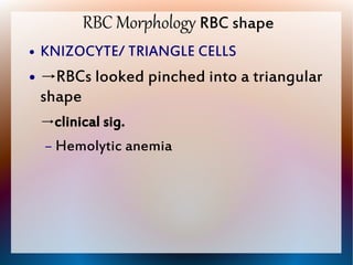 Pinched Rbcs Hematology signed | PDF