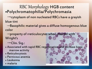 Hematology signed | PDF