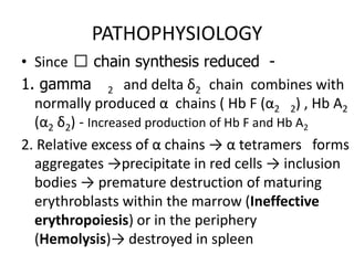 PATHOPHYSIOLOGY
• Since ẞ chain synthesis reduced -
1. gamma 2 and delta δ2 chain combines with
  normally produced α chains ( Hb F (α2 2) , Hb A2
  (α2 δ2) - Increased production of Hb F and Hb A2
2. Relative excess of α chains → α tetramers forms
  aggregates →precipitate in red cells → inclusion
  bodies → premature destruction of maturing
  erythroblasts within the marrow (Ineffective
  erythropoiesis) or in the periphery
  (Hemolysis)→ destroyed in spleen
 