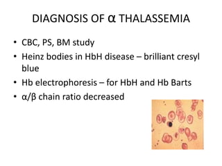 DIAGNOSIS OF α THALASSEMIA
• CBC, PS, BM study
• Heinz bodies in HbH disease – brilliant cresyl
  blue
• Hb electrophoresis – for HbH and Hb Barts
• α/β chain ratio decreased
 