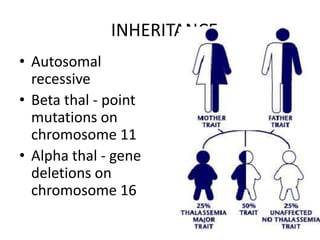 INHERITANCE
• Autosomal
  recessive
• Beta thal - point
  mutations on
  chromosome 11
• Alpha thal - gene
  deletions on
  chromosome 16
 