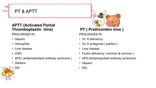 Hematology-WPS-Office.pptx FINALIZATION PO | PPTX