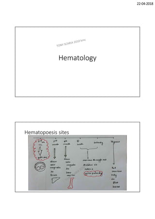 22-04-2018
Hematology
Hematopoesis sites
 