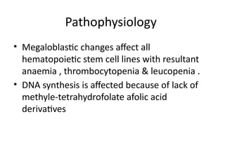 Comprehensive Overview of Anemia and Hematological Disorders in ...