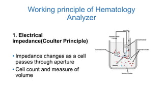 Hematology Analyzer Principle , 3-Part Differential HEMATOLOGY ANALYZER ...