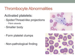 Pathologic Spider Hematology basics pt 2 | PPTX