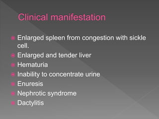  Enlarged spleen from congestion with sickle
cell.
 Enlarged and tender liver
 Hematuria
 Inability to concentrate urine
 Enuresis
 Nephrotic syndrome
 Dactylitis
 