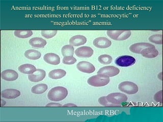 hematology disorder, for nursing students | PPTX