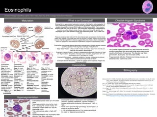 Eosinophils
Anneka Pierzga & Geoffrey Latner | MLT 1042 | April 16, 2016 | College of Southern Maryland
Maturation
Hypersegmentation
What is an Eosinophil?
Eosinophilia
Chediak-Higashi Syndrome
• The Chediak-Higashi syndrome is a rare autosomal recessive
condition associated with abnormally large leukocyte granules
resulting from fusion of lysozymes. This disorder may affect
granulocytes, leukocytes, and monocytes (UVA).
• Phagocytosis is defective. Platelets lack dense granules and
platelet function is abnormal (UVA).
Bibliography
• Eosinophilia occurs in association with hypersensitivity
reactions, parasitic infestations, cancers (Hodgkin's
disease, eosinophilic leukemia). (Blumenreich, 1990, p.
726)
• Blood smear presents high percentage of eosinophils, as
shown in the picture above.
• A 100 cell differential count of 5 or more eosinophils is
the basis for diagnosing eosinophilia.
Pluripotent Stem Cell Myeloid Stem Cell CFU-GEMM
CFU-Eo
Myeloblast
Eosinophilic
Myelocyte
Eosinophilic
Metamyelocyte
Eosinophilic
Band
Eosinophil
Size: 12-18µm
Nucleus: round to
oval; may have 1
flattened side
Nucleoli: not visible
Chromatin: coarse;
more condensed than
promyelocyte
Primary Granules:
few to moderate
Secondary
Granules: variable
number of refractile
orange granules
N/C Ratio: 2:1 to 1:1
“Dawn of
Eosinophilia”
Size: 10-15µm
Nucleus: kidney
bean shape;
indentation < 50%
width of nucleus
Nucleoli: not
visible
Chromatin:
coarse, clumped
Primary
Granules: few
Secondary
Granules: many
orange, refractile
N/C Ratio: 1.5:1
Size: 10-15µm
Nucleus: constricted
but no threadlike
filament; indentation
>50% nucleus
Nucleoli: not visible
Chromatin: coarse,
clumped
Primary Granules:
few
Secondary
Granules: abundant
orange, refractile
N/C Ratio: cytoplasm
predominates
Size: 12-17µm
Nucleus: 2-5 lobes
connected by thin
filaments
Nucleoli: not visible
Chromatin: coarse,
clumped
Primary Granules:
rare
Secondary
Granules:
abundant orange,
refractile
N/C Ratio:
cytoplasm
predominates
IL-1, IL-6,
IL-3
GM-CSF
IL-3
GM-CSF,
IL-3
GM-CSF,
IL-5
GM-CSF,
IL-5
GM-CSF,
IL-5
Adapted from
Harmening, 2009
Adapted from
Carr & Rodk,
2013
Eosinophils are granulocytic leukocytes involved in the initiation and propagation of
many inflammatory responses, including those of parasitic helminth infections and
allergic diseases (Harmening 2009;Hogan and Rothenberg 2006). There is some
evidence that they may act as APCs. They have been implicated in hypersensitivity
reactions including allergic airway disease, asthma, eosinophilic gastritis and
esophagitis, and Celiac disease (Hogan and Rothenberg 2006, Dyer, Foster et al.
2013)
They are produced and mature in the bone marrow and are released into the blood,
where they migrate to mucosal beds such as the skin, GI tract, vagina, and bronchial
mucosa (Harmening 2009). Evidence suggests they may have a role in preparing the
uterus for pregnancy and blastocyst implantation (Hogan and Rothenberg 2006).
Eosinophils have orange-staining secondary granules which contain several cytotoxic
proteins capable of inducing tissue damage and dysfunction:
• Major Basic Protein – alters smooth muscle contraction responses and induces
mast cell and basophil degranulation
• Eosinophil Cationic Protein – shown to possess antiviral activity; induction of mast
cell degranulation, stimulation of airway mucus secretion, suppression of T cell
proliferation and IG synthesis by B cells
• Eosinophil Peroxidase – catalyzes oxidation of several substances to produce
highly oxidative substances that promote cell death
• Eosinophil-derived Neurotoxin – shown to possess antiviral activity (Hogan and
Rothenberg 2006)
• Eosinophils typically have up to 4 nuclear
lobes.
• Hypersegmentation occurs when more
than 3 eosinophils contain 5 lobes or 1
contains 6 or more lobes in a 100 cell
differential (UVA).
• This is sometimes called a “right shift”
(UVA).
• Hypersegmentation may accompany other
disorders that affect maturation
 