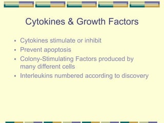 Cytokines & Growth Factors
 Cytokines stimulate or inhibit
 Prevent apoptosis
 Colony-Stimulating Factors produced by
many different cells
 Interleukins numbered according to discovery
 