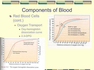 Components of Blood
Red Blood Cells
(cont.)
 Oxygen Transport
 Oxy-hemoglobin
dissociation curve
 2,3-DPG
 
