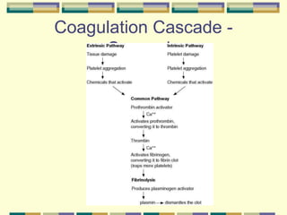 Coagulation Cascade -
Synopsis
 
