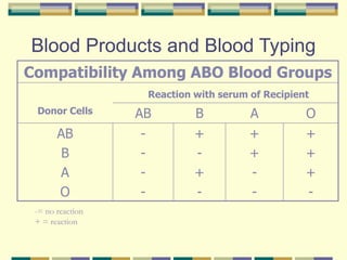 Blood Products and Blood Typing
Compatibility Among ABO Blood Groups
Reaction with serum of Recipient
Donor Cells AB B A O
AB
B
A
O
-
-
-
-
+
-
+
-
+
+
-
-
+
+
+
-
-= no reaction
+ = reaction
 