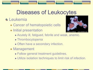 Diseases of Leukocytes
Leukemia
 Cancer of hematopoietic cells
 Initial presentation
 Acutely ill, fatigued, febrile and weak, anemic.
 Thrombocytopenia
 Often have a secondary infection.
 Management
 Follow general treatment guidelines.
 Utilize isolation techniques to limit risk of infection.
 