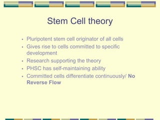 Stem Cell theory
 Pluripotent stem cell originator of all cells
 Gives rise to cells committed to specific
development
 Research supporting the theory
 PHSC has self-maintaining ability
 Committed cells differentiate continuously/ No
Reverse Flow
 