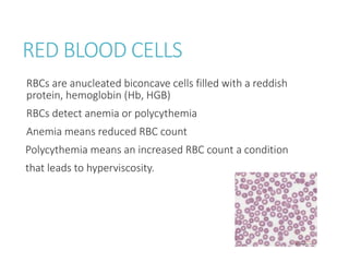 High Rbc Condition HEMATOLOGY METHODOLOGY .pptx
