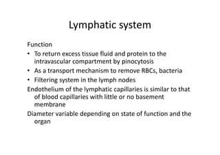 Lymphatic system
Function
• To return excess tissue fluid and protein to the
intravascular compartment by pinocytosis
• As a transport mechanism to remove RBCs, bacteria
• Filtering system in the lymph nodes
Endothelium of the lymphatic capillaries is similar to that
of blood capillaries with little or no basement
membrane
Diameter variable depending on state of function and the
organ
 