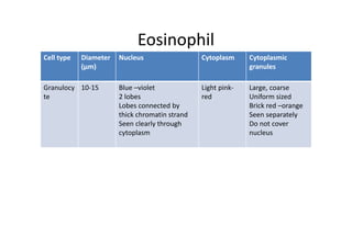 Eosinophil
Cell type Diameter Nucleus Cytoplasm Cytoplasmic
(µm) granules
Granulocy 10‐15 Blue –violet Light pink‐ Large, coarse
te 2 lobes red Uniform sized
Lobes connected by Brick red –orange
thick chromatin strand Seen separately
Seen clearly through Do not cover
cytoplasm nucleus
 