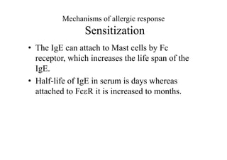 Mechanisms of allergic response
Sensitization
• The IgE can attach to Mast cells by Fc
receptor, which increases the life span of the
IgE.
• Half-life of IgE in serum is days whereas
attached to FcR it is increased to months.
 