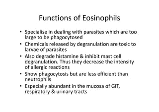 Functions of Eosinophils
• Specialise in dealing with parasites which are too
large to be phagocytosed
• Chemicals released by degranulation are toxic to
larvae of parasites
• Also degrade histamine & inhibit mast cell
degranulation. Thus they decrease the intensity
of allergic reactions
• Show phagocytosis but are less efficient than
neutrophils
• Especially abundant in the mucosa of GIT,
respiratory & urinary tracts
 