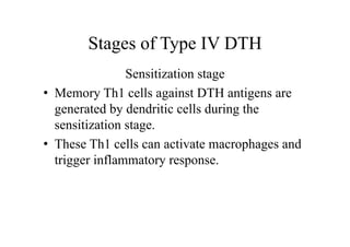 Stages of Type IV DTH
Sensitization stage
• Memory Th1 cells against DTH antigens are
generated by dendritic cells during the
sensitization stage.
• These Th1 cells can activate macrophages and
trigger inflammatory response.
 