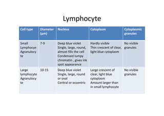Lymphocyte
Cell type Diameter Nucleus Cytoplasm Cytoplasmic
(µm) granules
Small 7‐9 Deep blue violet Hardly visible No visible
Lymphocye Single, large, round, Thin crescent of clear, granules
Agranulocy almost fills the cell light blue cytoplasm
te Condensed lumpy
chromatin , gives ink
spot appearance
Large 10‐15 Deep blue violet Large crescent of No visible
lymphocyte Single, large, round clear, light blue granules
Agranulocy or oval cytoplasm
te Central or eccentric Amount larger than
in small lymphocyte
 