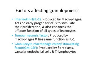 Factors affecting granulopoiesis
• Interleukin‐1(IL‐1): Produced by Macrophages.
Acts on early progenitor cells to stimulate
their proliferation, & also enhances the
effector function of all types of leukocytes.
• Tumour necrosis factor: Produced by
macrophages & has same function as IL‐1
• Granulocyte‐macrophage colony stimulating
factor(GM‐CSF): Produced by fibroblasts,
vascular endothelial cells & T‐lymphocytes
 