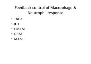 Feedback control of Macrophage &
Neutrophil response
• TNF α
• IL‐1
• GM‐CSF
• G‐CSF
• M‐CSF
 