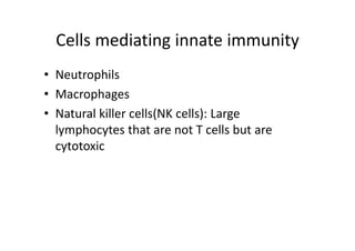 Cells mediating innate immunity
• Neutrophils
• Macrophages
• Natural killer cells(NK cells): Large
lymphocytes that are not T cells but are
cytotoxic
 