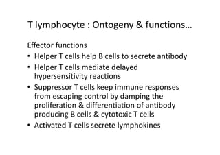 T lymphocyte : Ontogeny & functions…
Effector functions
• Helper T cells help B cells to secrete antibody
• Helper T cells mediate delayed
hypersensitivity reactions
• Suppressor T cells keep immune responses
from escaping control by damping the
proliferation & differentiation of antibody
producing B cells & cytotoxic T cells
• Activated T cells secrete lymphokines
 