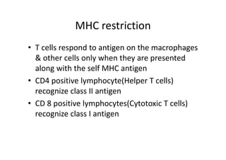 MHC restriction
• T cells respond to antigen on the macrophages
& other cells only when they are presented
along with the self MHC antigen
• CD4 positive lymphocyte(Helper T cells)
recognize class II antigen
• CD 8 positive lymphocytes(Cytotoxic T cells)
recognize class I antigen
 
