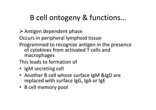 B cell ontogeny & functions…
Antigen dependent phase
Occurs in peripheral lymphoid tissue
Programmed to recognize antigen in the presence
of cytokines from activated T cells and
macrophages
This leads to formation of
• IgM secreting cell
• Another B cell whose surface IgM &IgD are
replaced with surface IgG, IgA or IgE
• B cell memory pool
 