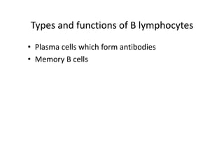 Types and functions of B lymphocytes
• Plasma cells which form antibodies
• Memory B cells
 