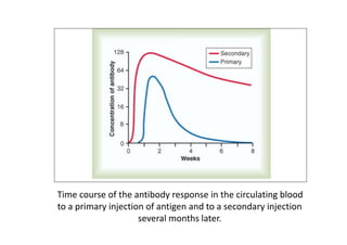 Time course of the antibody response in the circulating blood
to a primary injection of antigen and to a secondary injection
several months later.
 